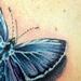 tattoo galleries/ - Eastern Tailed Blue Butterfly 